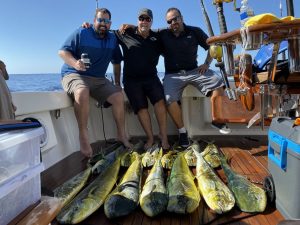 Dorado fishing - Cabo San Lucas