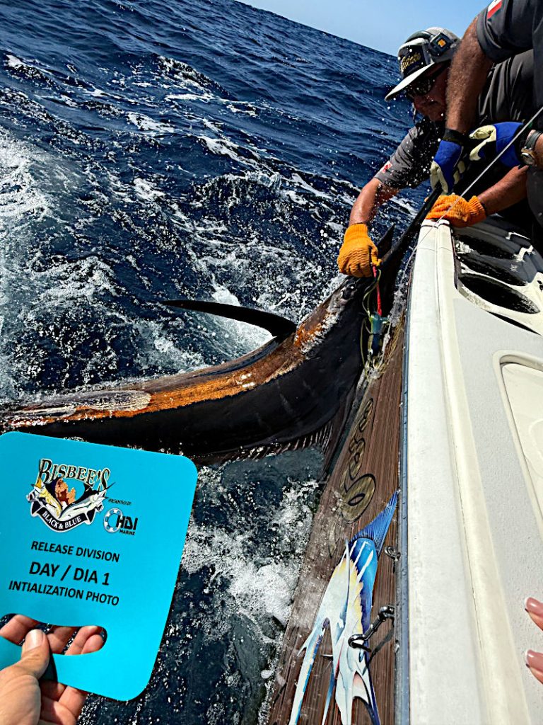 Team Reel Estate at Bisbee's 2025